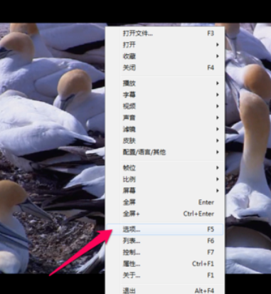 PotPlayer设置最前端的操作教程