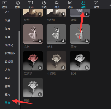 剪映专业版如何设置黑白滤镜?剪映专业版设置黑白滤镜的方法