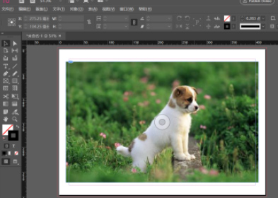 Indesign如何调整对象透明度?Indesign调整对象透明度教程