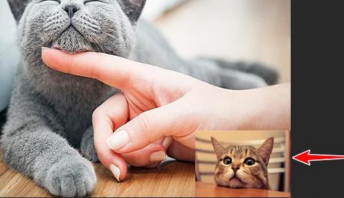 ps复制图层到另一个图怎么操作？ps复制图层到另一个图操作方法