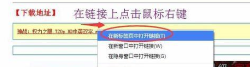 谷歌浏览器无法启用迅雷/阿里旺旺的解决方法