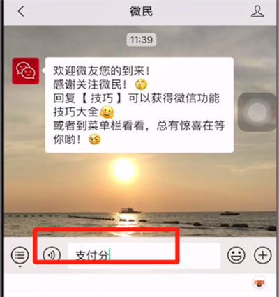微信中查看芝麻信用的详细步骤