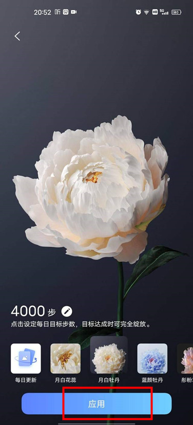 vivox60pro行为壁纸怎么开启 vivox60pro设置行为壁纸步骤