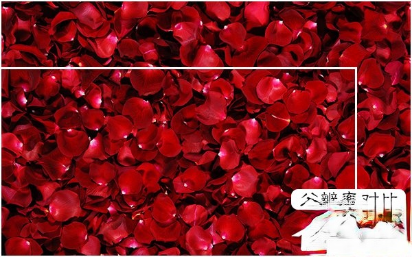 图片像素和分辨率有哪些关系和区别?(2)