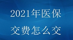 2021年医保网上怎么缴费?医保网上缴费与截止时间解析