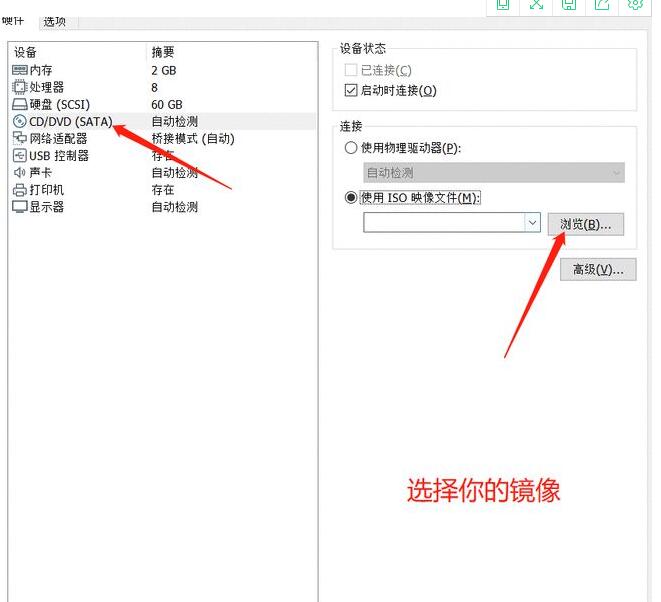 windows11如何安装虚拟器?windows11安装虚拟器的方法步骤