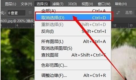 ps cs6给图片加框的简单教程分享