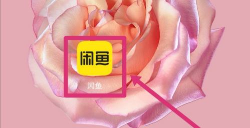 闲鱼怎么修改绑定手机号 闲鱼更改绑定手机号方法