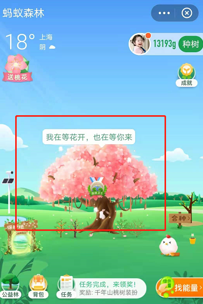 蚂蚁森林树洞在哪?支付宝蚂蚁森林520表白树洞玩法