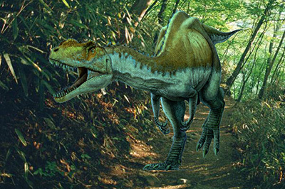 Adobe Photoshop把图片融入背景的使用过程