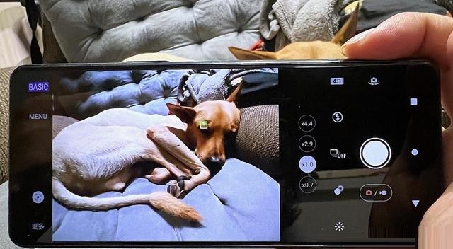 索尼xperia5iii怎么样?索尼xperia5iii全面评测