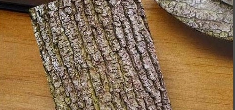 Photoshop怎么制作树皮手机背景效果?Photoshop制作树皮手机背景效果教程