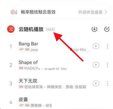 网易云音乐云随机怎么关闭？网易云音乐云随机关闭教程