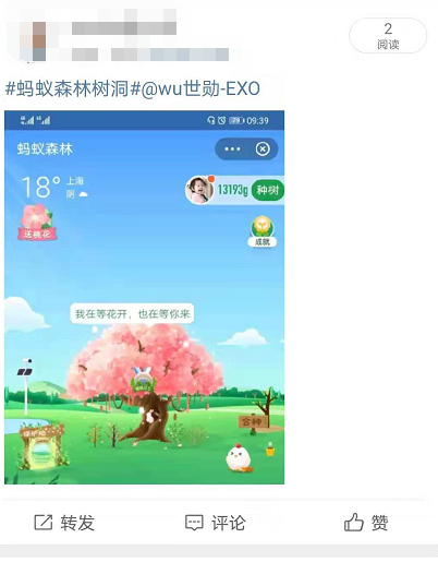 蚂蚁森林树洞在哪?支付宝蚂蚁森林520表白树洞玩法