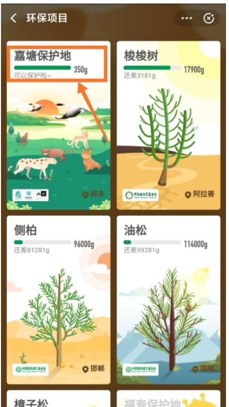 蚂蚁森林巡护嘉塘保护地怎么申请?蚂蚁森林巡护申请护嘉塘保护地的方法