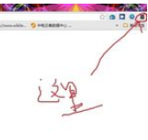 谷歌浏览器禁用javascript的详细操作步骤