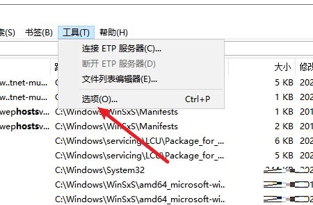 Everything怎么设置以管理员身份运行?Everything设置以管理员身份运行的方法
