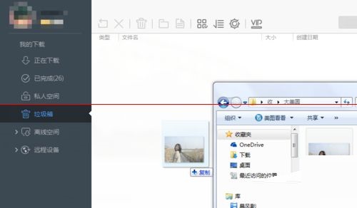 迅雷极速版怎么设置透明壁纸？迅雷极速版设置透明壁纸的方法