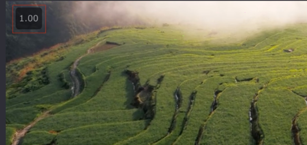 video speed controller如何设置倍数?video speed controller设置倍数步骤