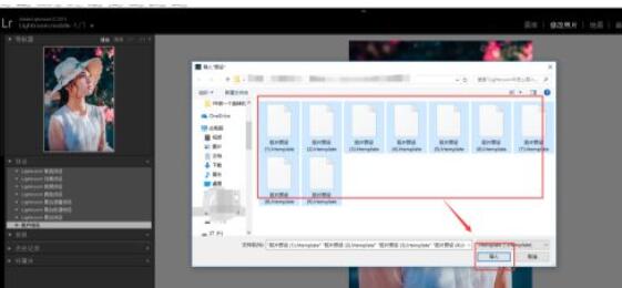 lightroom怎么使用预设文件?lightroom使用预设文件教程