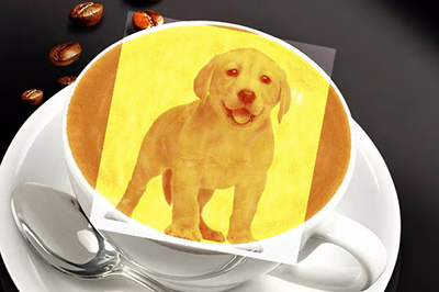 Photoshop设计咖啡拉花效果的操方法