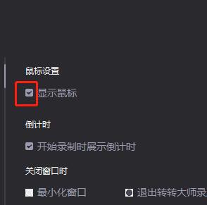 转转大师中进行设置显示鼠标的详细步骤