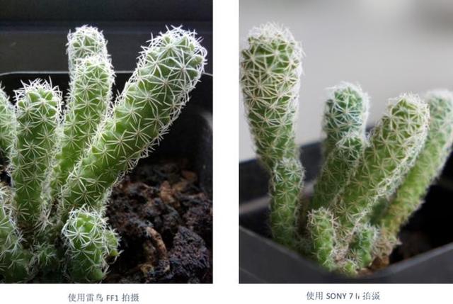 雷鸟FF1拍照性能好吗?雷鸟FF1拍照性能介绍