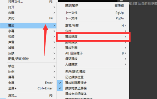PotPlayer调整播放速度的具体使用流程