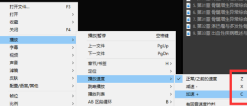PotPlayer调整播放速度的具体使用流程