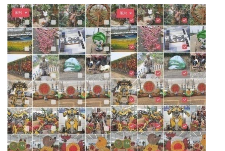 opporeno5如何开启隐藏相册?opporeno5隐藏相册开启方法