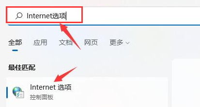 Windows11浏览器没网怎么解决？Windows11设置局域网络技巧