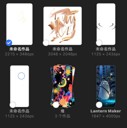 procreate pocket怎么预览作品？procreate pocket预览图片教程
