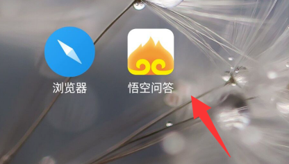 悟空问答缓存文件怎么清理 一键删除悟空问答缓存方法