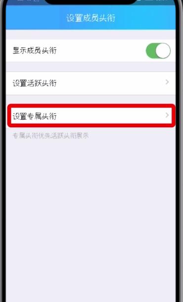 qq群设置专属头衔的方法步骤