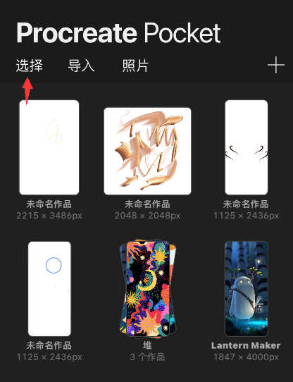 procreate pocket怎么预览作品？procreate pocket预览图片教程