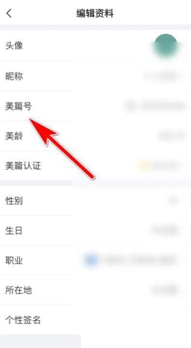 美篇怎么查看美篇号?美篇查看美篇号教程
