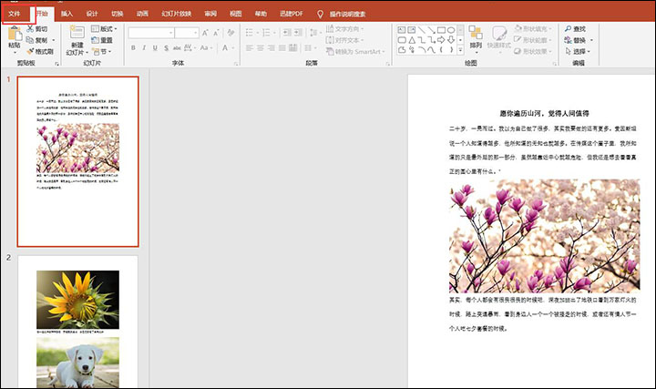 快速有效压缩PPT文件体积的操作教程