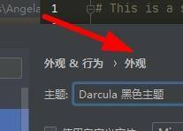 PyCharm怎么设置编译器外观？PyCharm设置编译器外观的方法