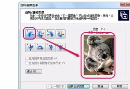 ACDSee翻转单张图像的操作教程