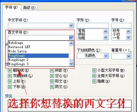 word2010修改所有字母和数字格式的操作步骤