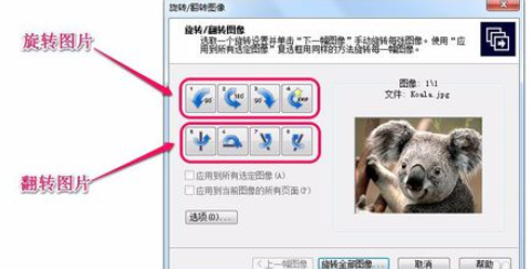 ACDSee翻转单张图像的操作教程