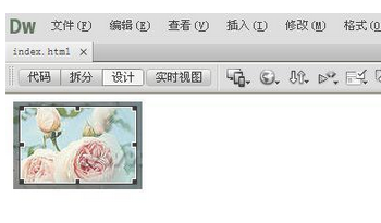 Dreamweaver进行图片编辑的操作步骤