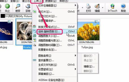 ACDSee翻转单张图像的操作教程