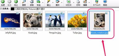 ACDSee翻转单张图像的操作教程