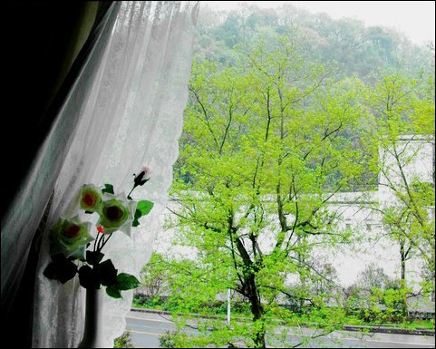 美图秀秀做出下雨背景特效的操作步骤