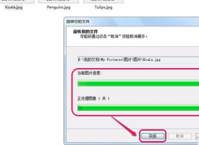 ACDSee翻转单张图像的操作教程