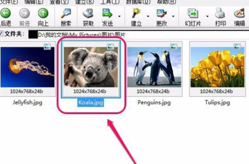 ACDSee翻转单张图像的操作教程