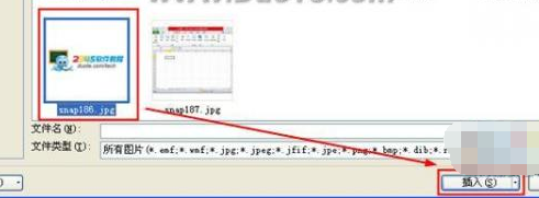 excel2010插入图片的详细方法