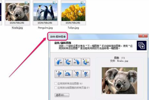 ACDSee翻转单张图像的操作教程