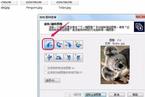 ACDSee翻转单张图像的操作教程